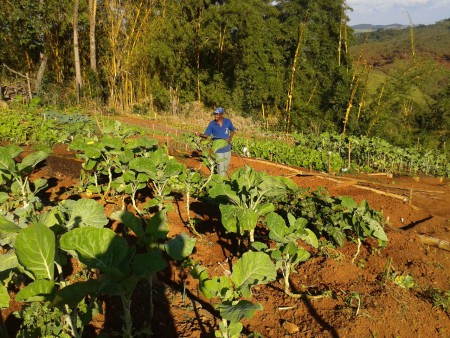 JOSE ANTONIO DE SENA NA LIDA COM A TERRA.